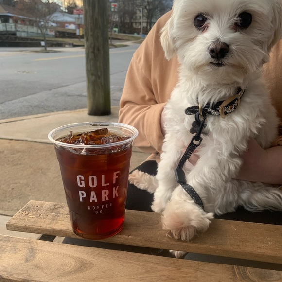 Meet your Posher, Riley - Picture 3 of 3